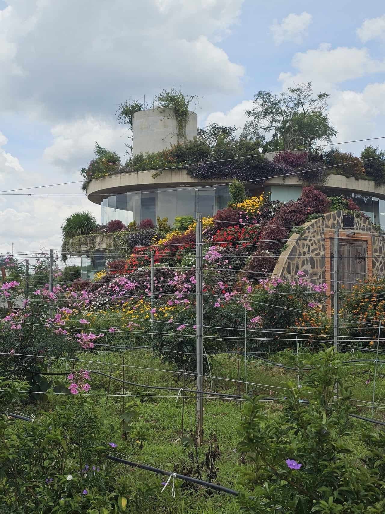 A refreshing escape: from danang to dalat 72 » 2026 » roaming sparrow image.png