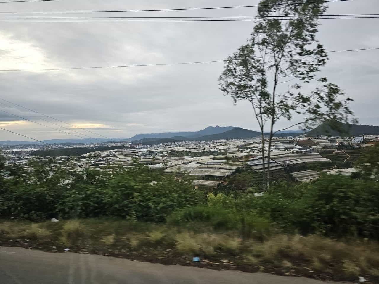 A refreshing escape: from danang to dalat 81 » 2026 » roaming sparrow image.png