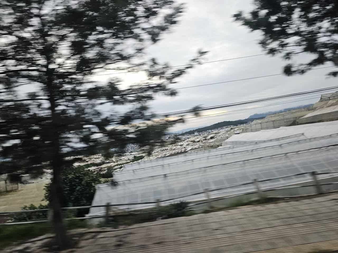 A refreshing escape: from danang to dalat 82 » 2026 » roaming sparrow image.png