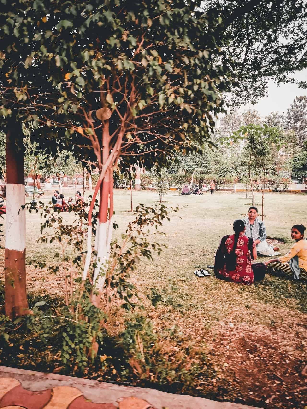 Afternoon in the park with my new friends from india 28 » 2026 » roaming sparrow 20220323_174831.jpg