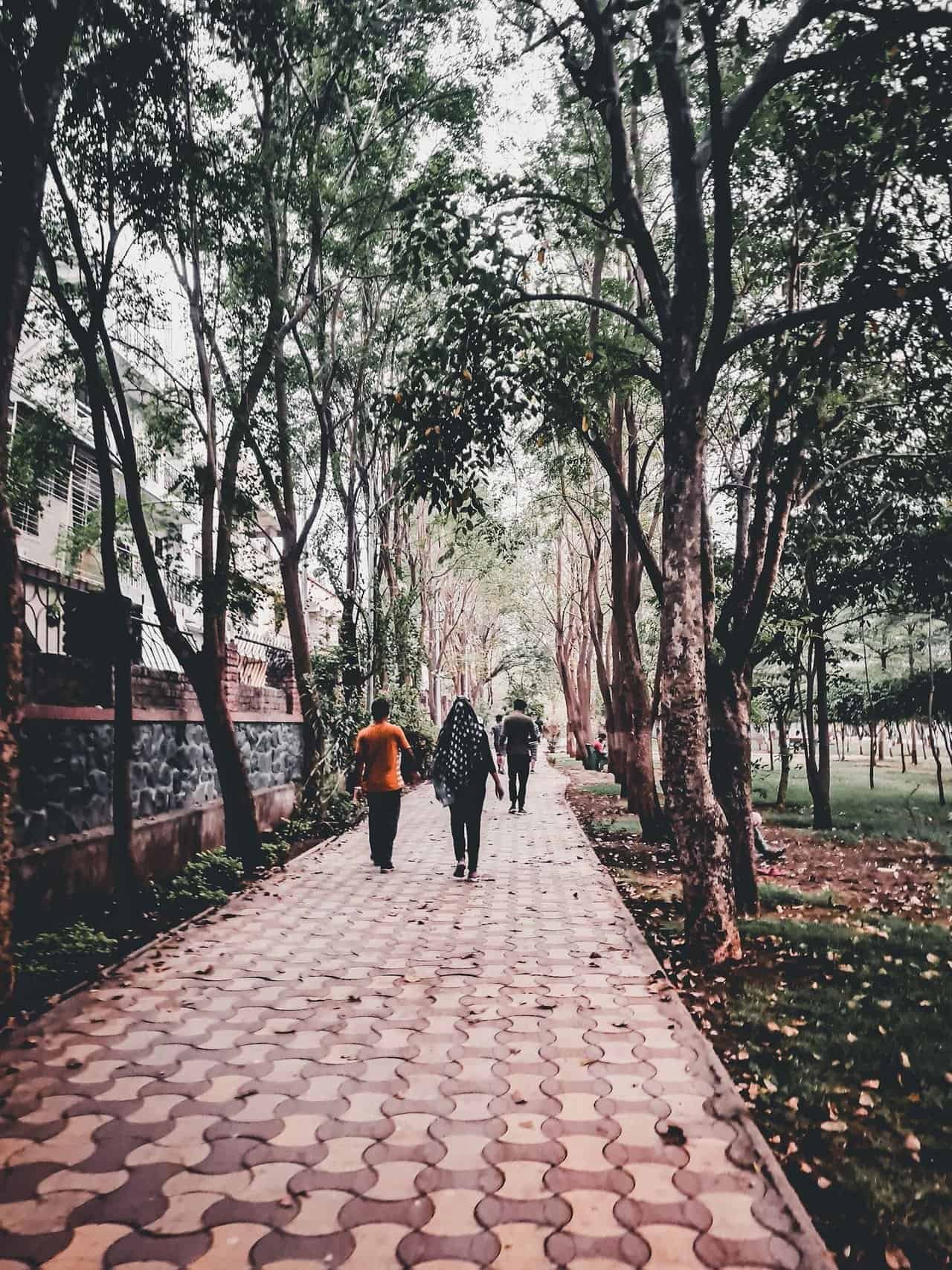 Afternoon in the park with my new friends from india 29 » 2026 » roaming sparrow 20220323_183524.jpg