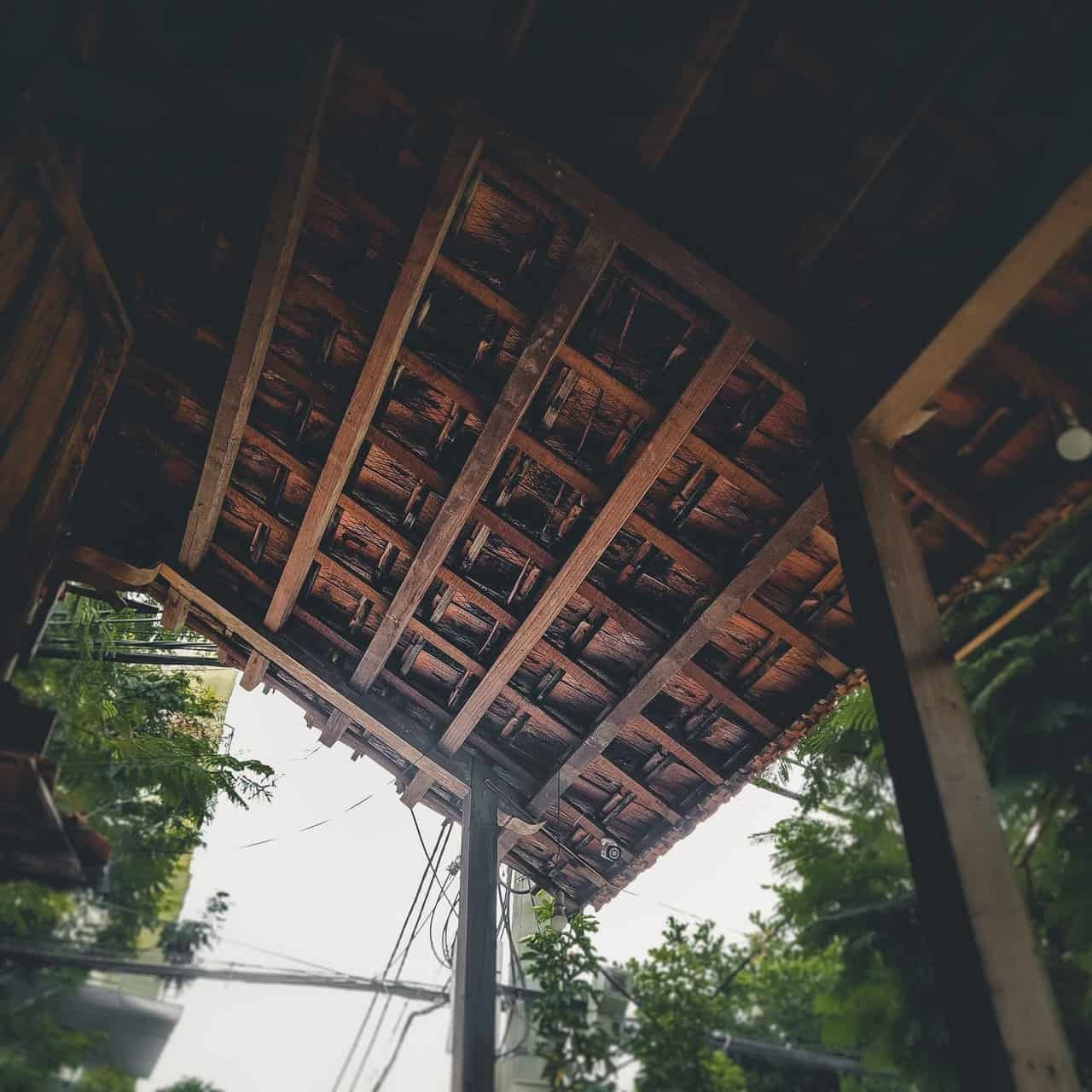 20220702_142536.jpg