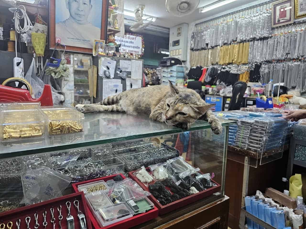 Bangkok amulet market: discover thailand's mystical riverside treasure 24 » 2026 » roaming sparrow image.png