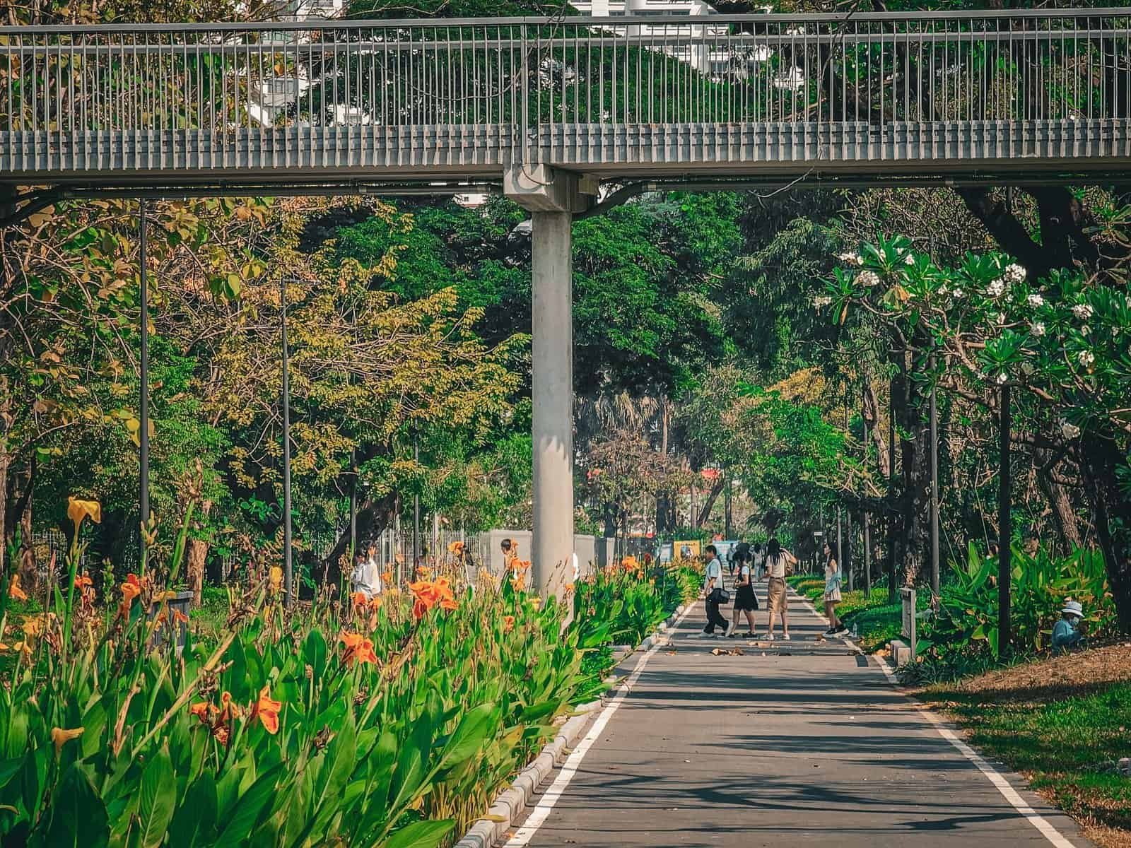 The wetlands and green walkways of Benjakitti Park in Bangkok