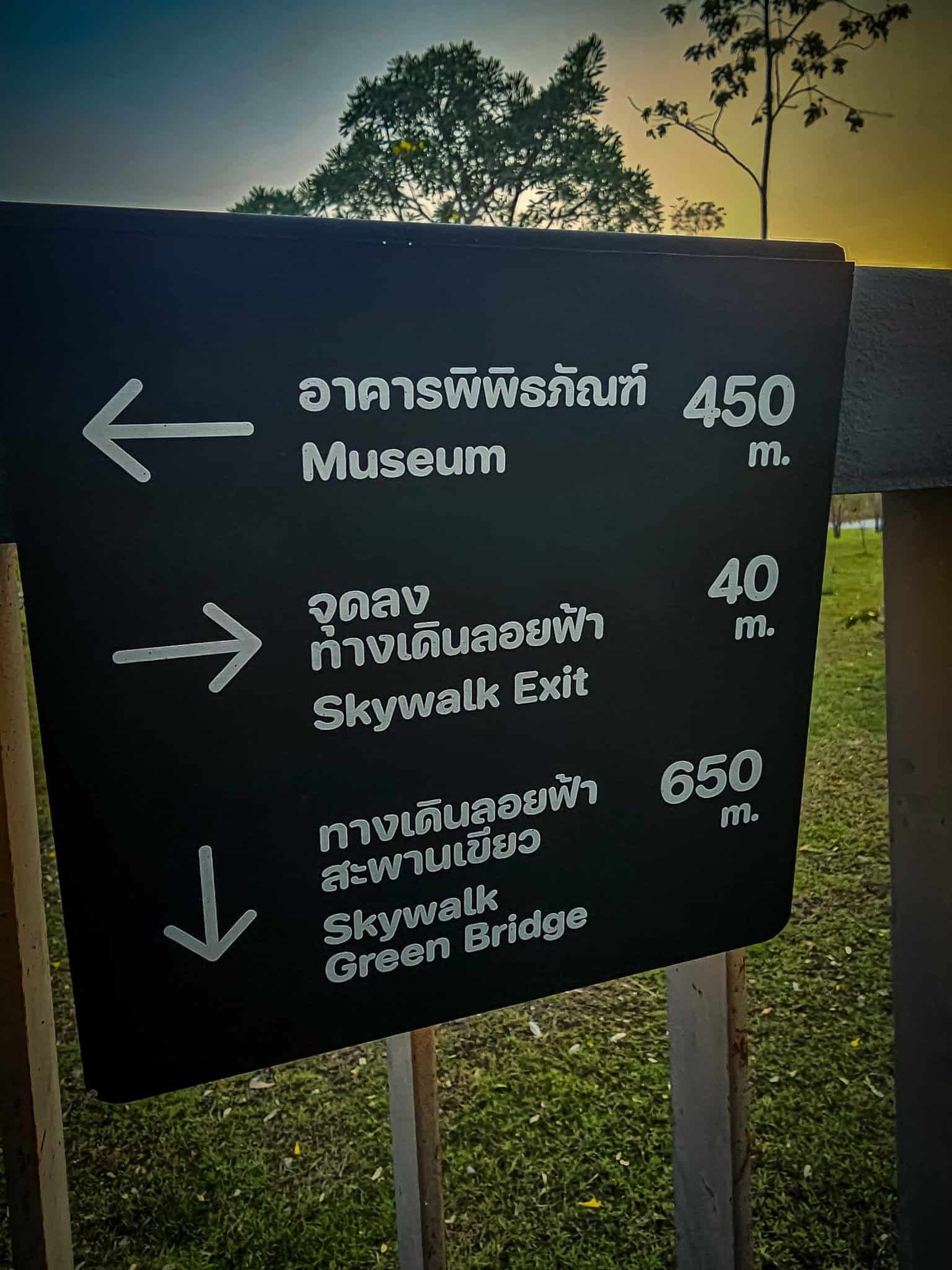 An elevated tree-top sky walk at golden hour in a Bangkok park
