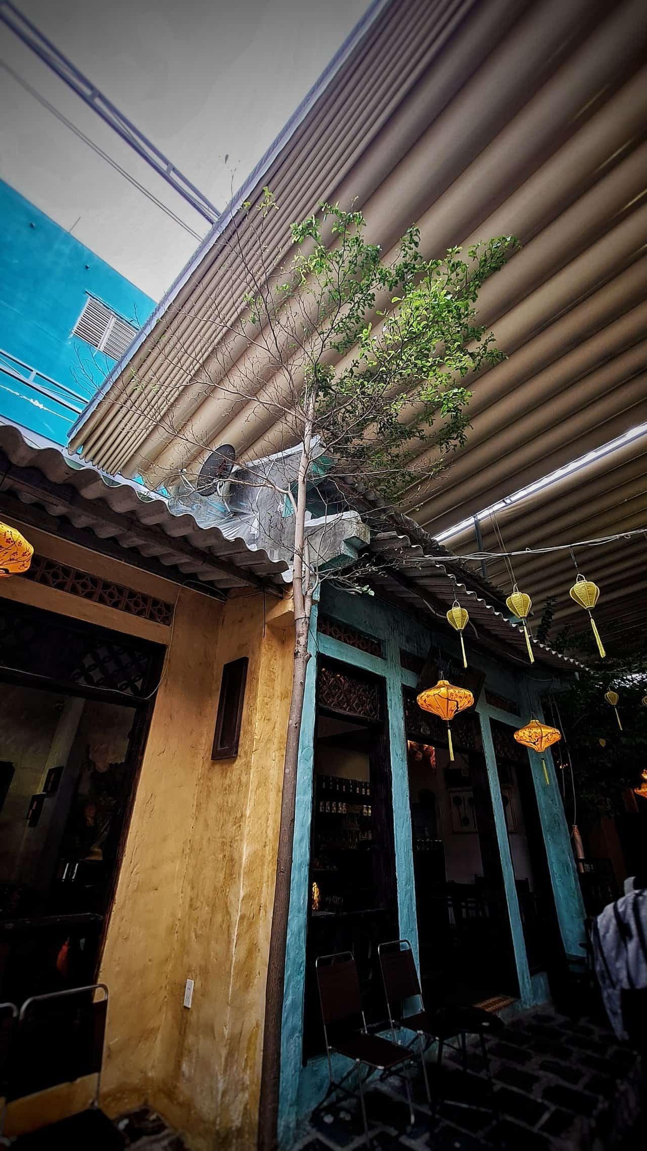 Cafe xiu danang vietnam 26 » 2026 » roaming sparrow 20211111_120441-01.jpeg