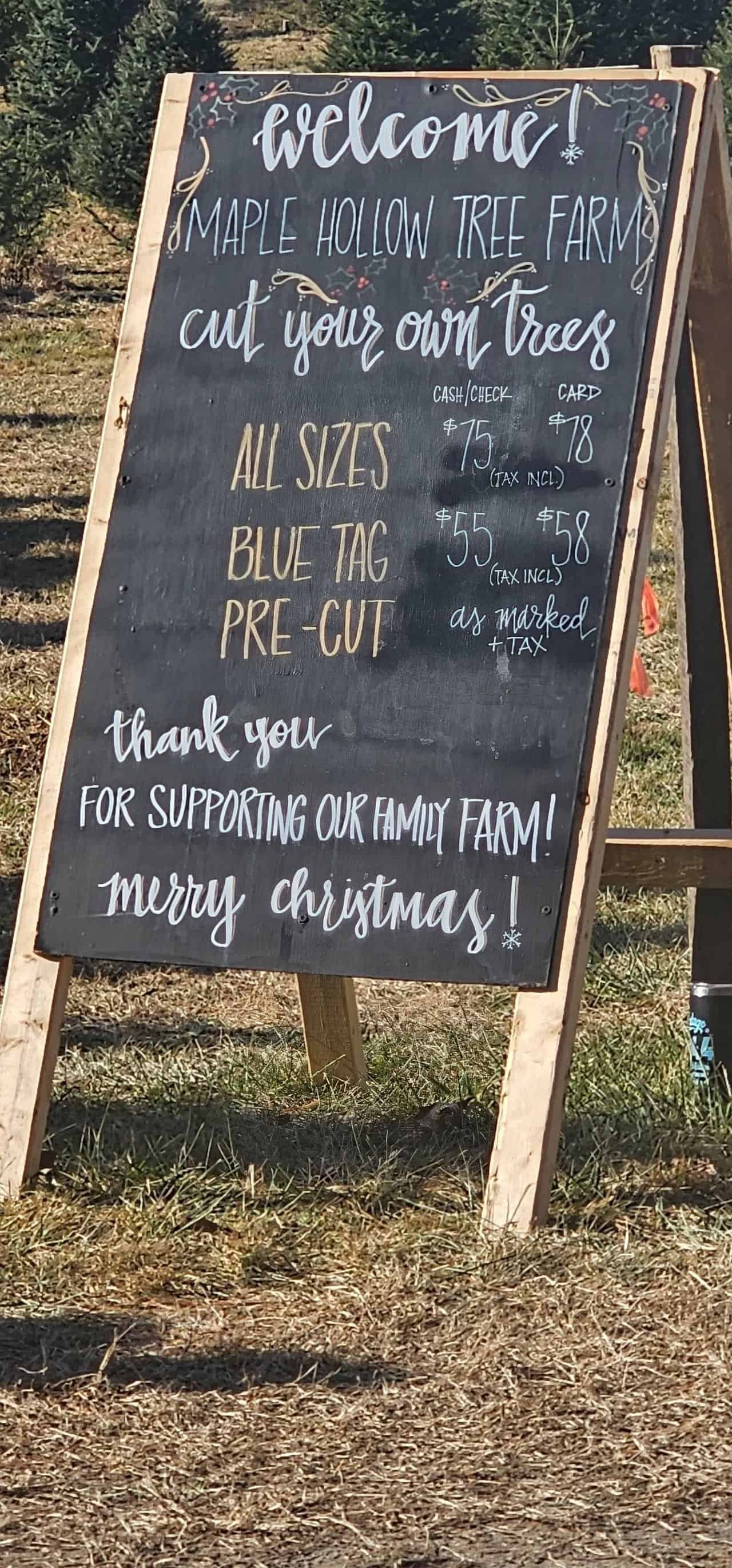 Christmas tree shopping in connecticut 43 » 2026 » roaming sparrow 20241201_115028.jpg