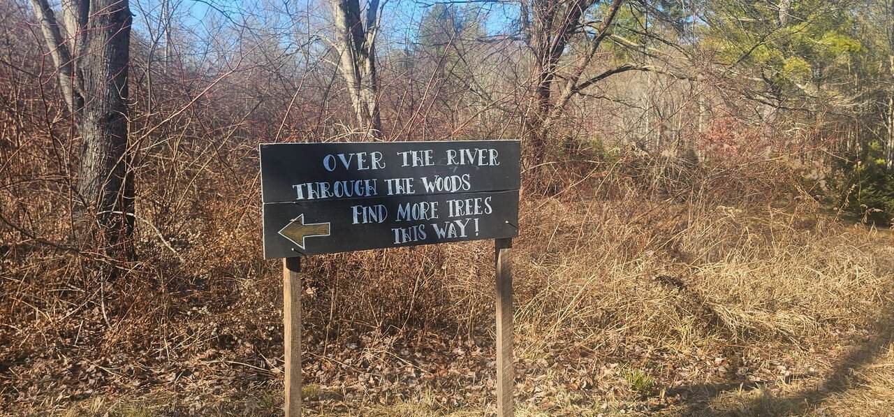 Christmas tree shopping in connecticut 51 » 2026 » roaming sparrow 20241201_115754.jpg