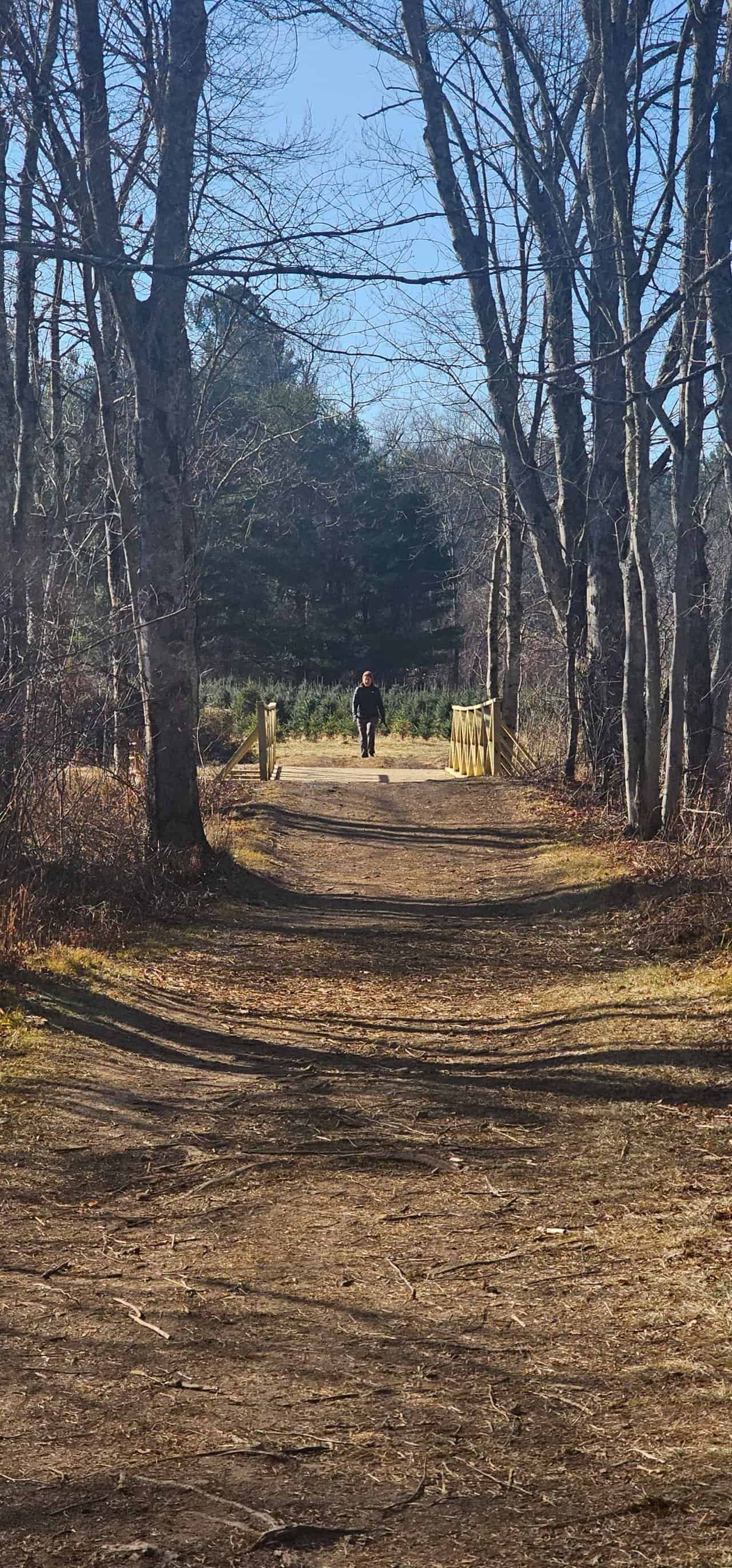 Christmas tree shopping in connecticut 52 » 2026 » roaming sparrow 20241201_115801.jpg