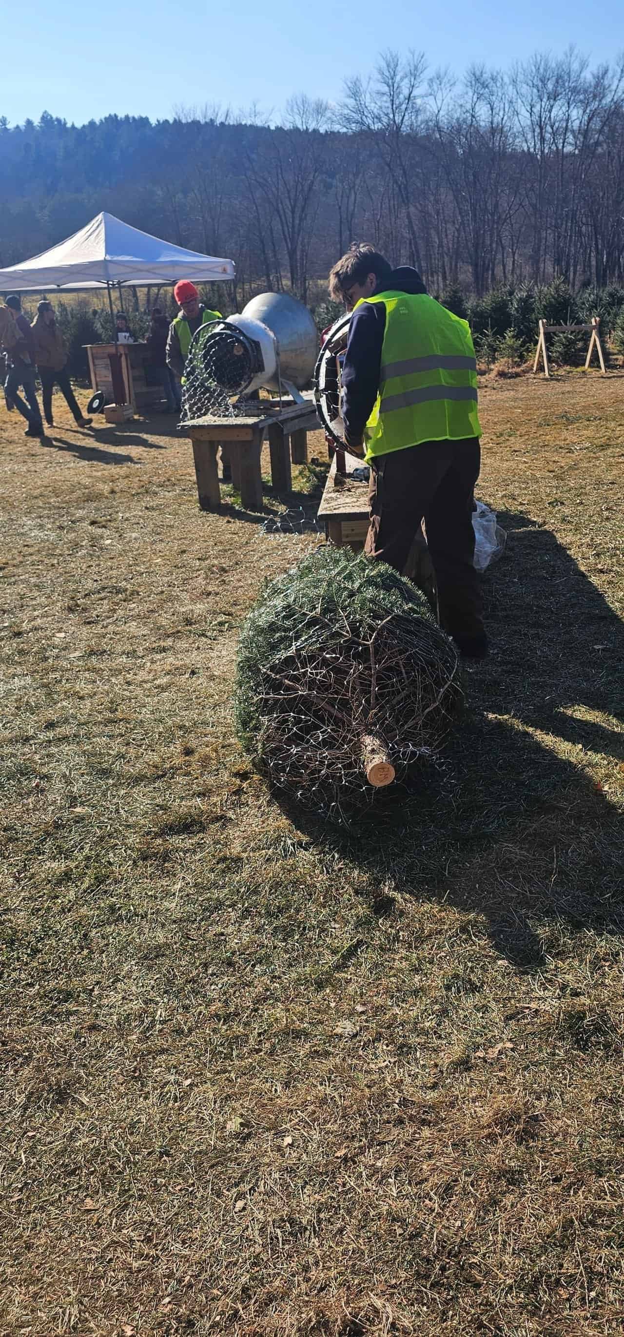 Christmas tree shopping in connecticut 58 » 2026 » roaming sparrow 20241201_121246.jpg