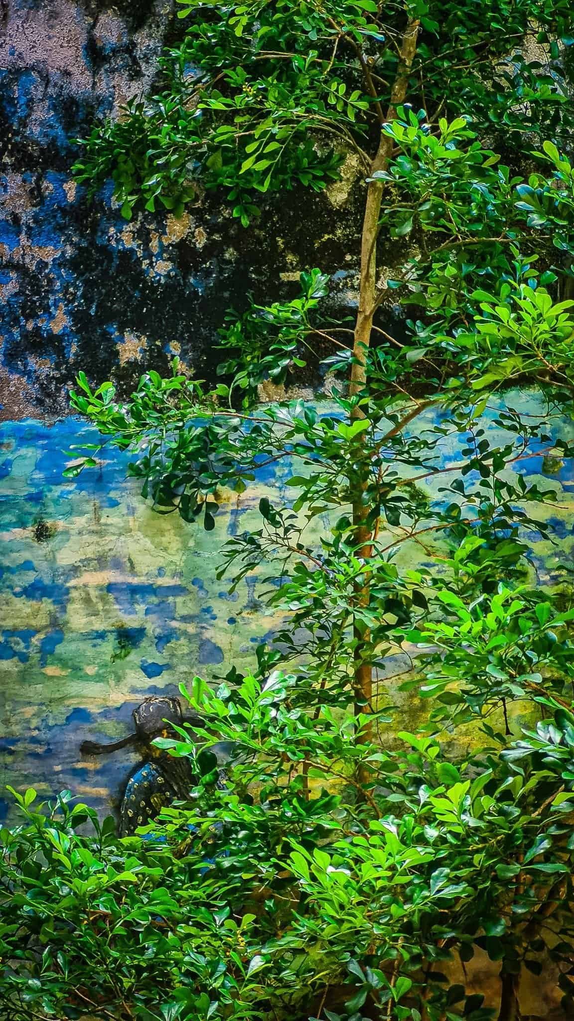 Living wall