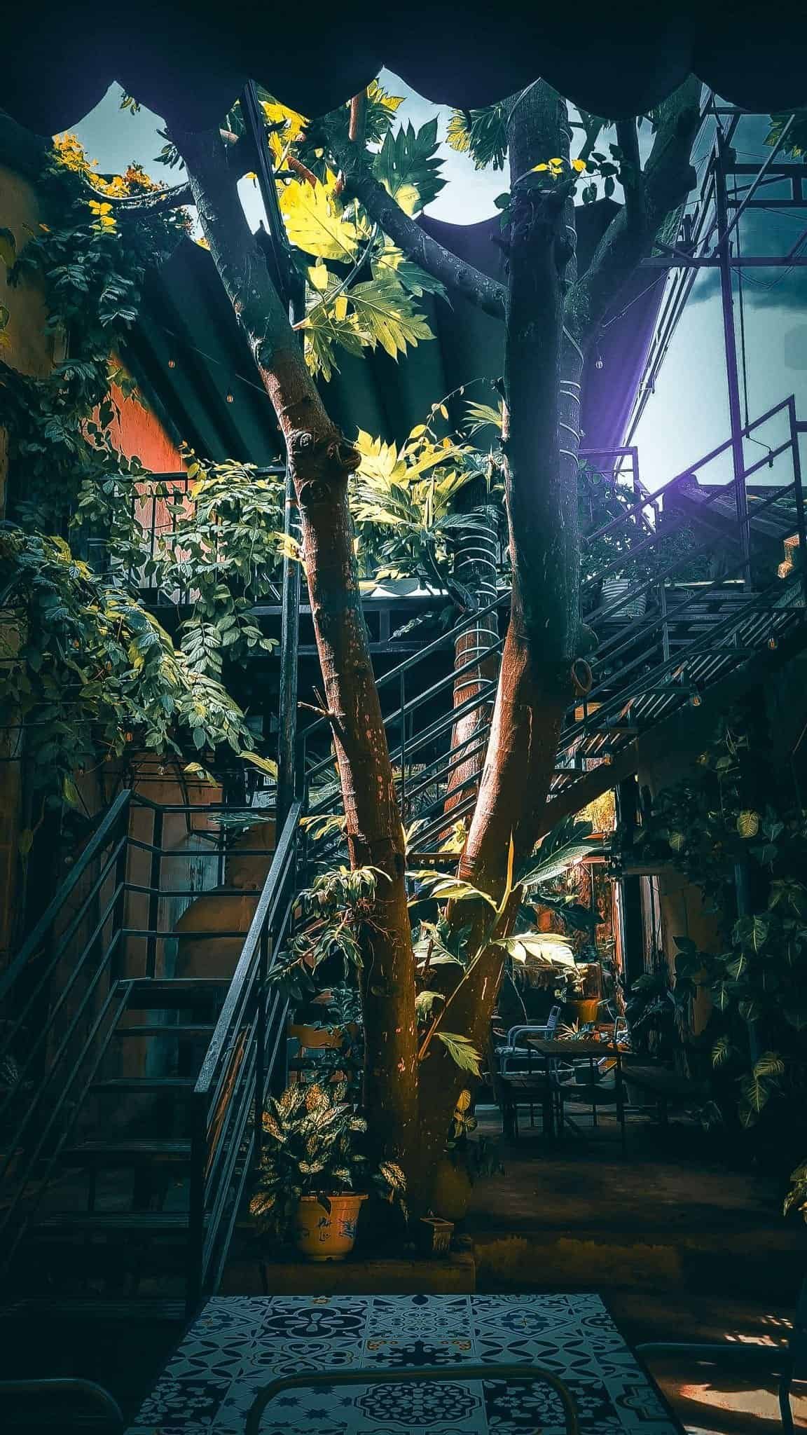 Stairs up to the second floor