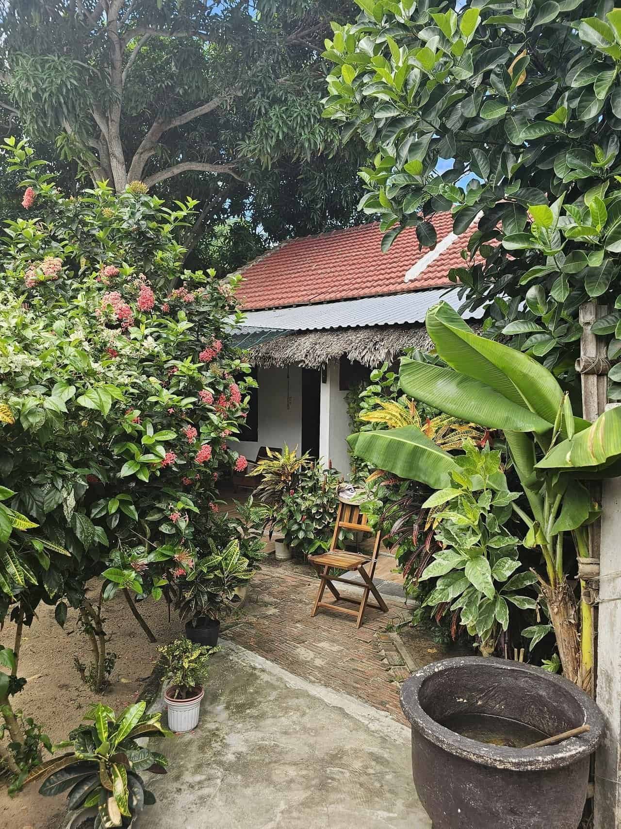 Discovering the charm of purple lantern restaurant and home stay at an bang beach, hoi an 26 » 2026 » roaming sparrow image.png