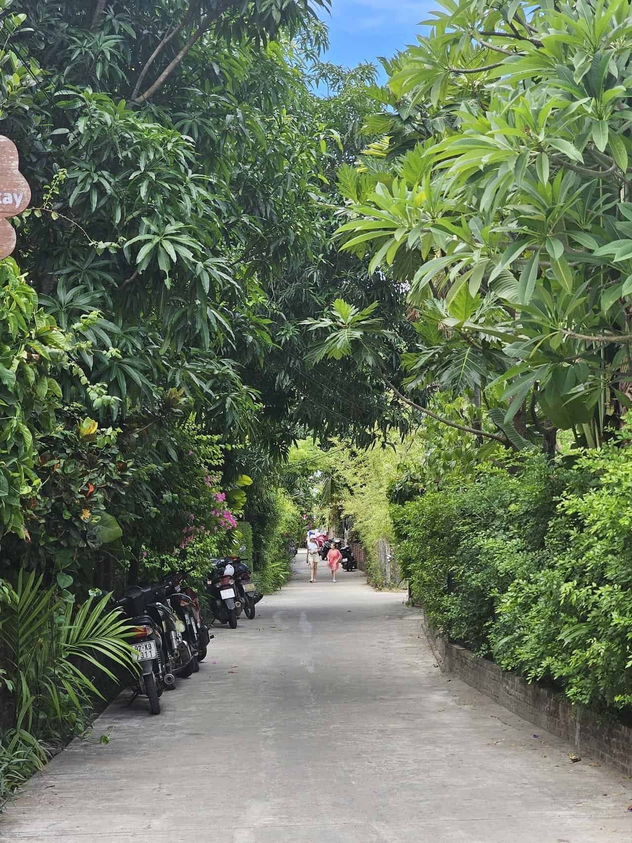 Discovering the charm of purple lantern restaurant and home stay at an bang beach, hoi an 31 » 2026 » roaming sparrow image.png