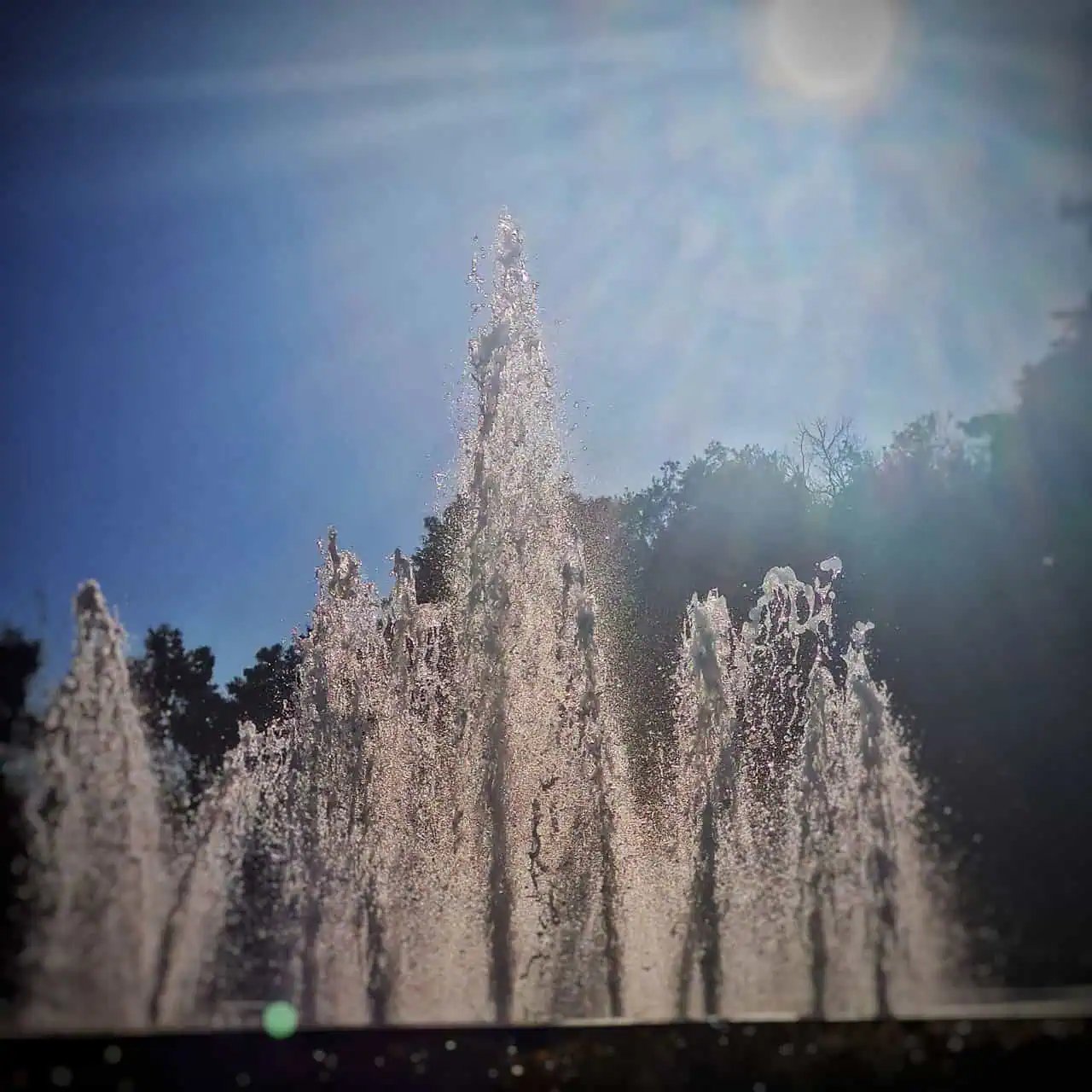 Exploring pedion tou areos park, athens, greece 22 » 2026 » roaming sparrow 20220219_163234-01.jpeg