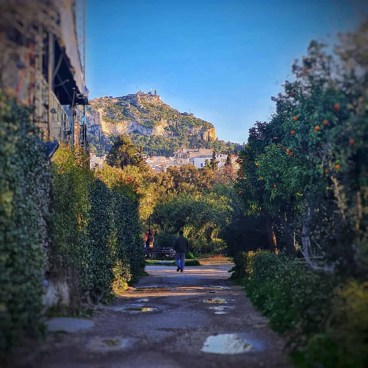 Exploring pedion tou areos park, athens, greece 31 » 2026 » roaming sparrow 20220219_164434-01.jpeg