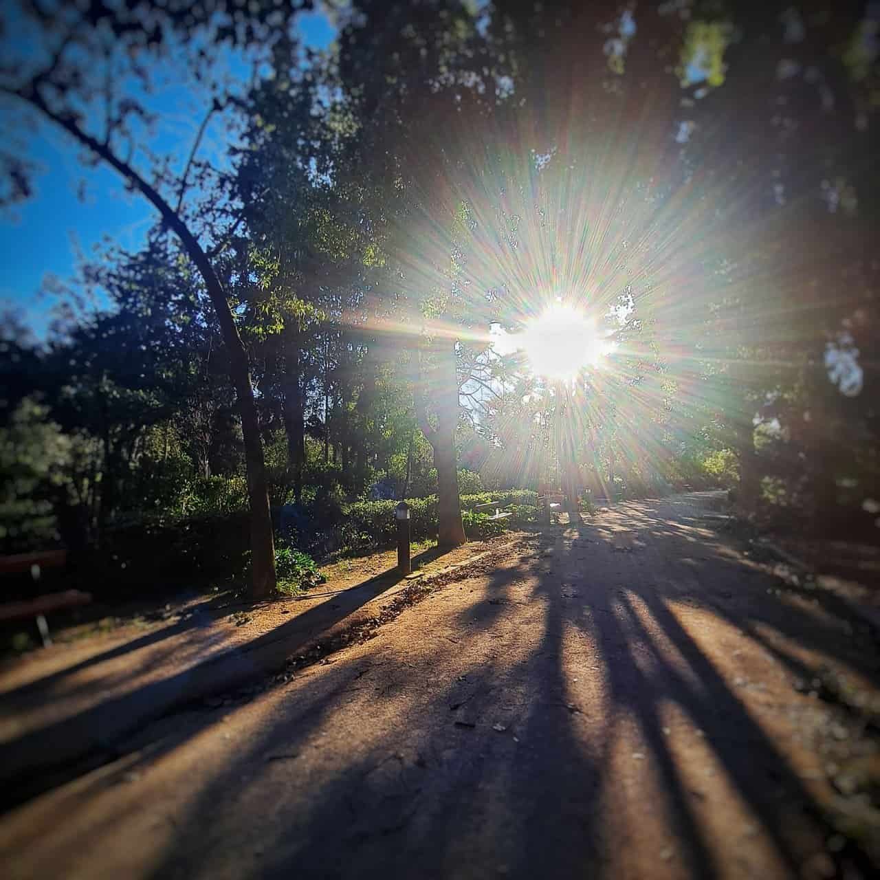 Exploring pedion tou areos park, athens, greece 32 » 2026 » roaming sparrow 20220219_164631-01.jpeg