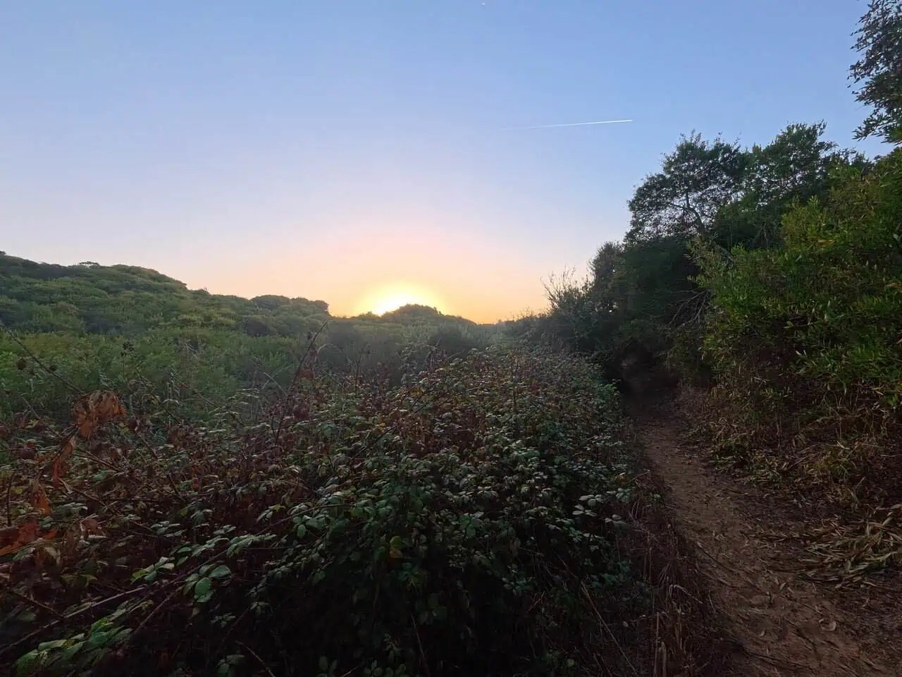 Fisherman's trail almograve to zambujeira do mar 30 » 2026 » roaming sparrow image.png
