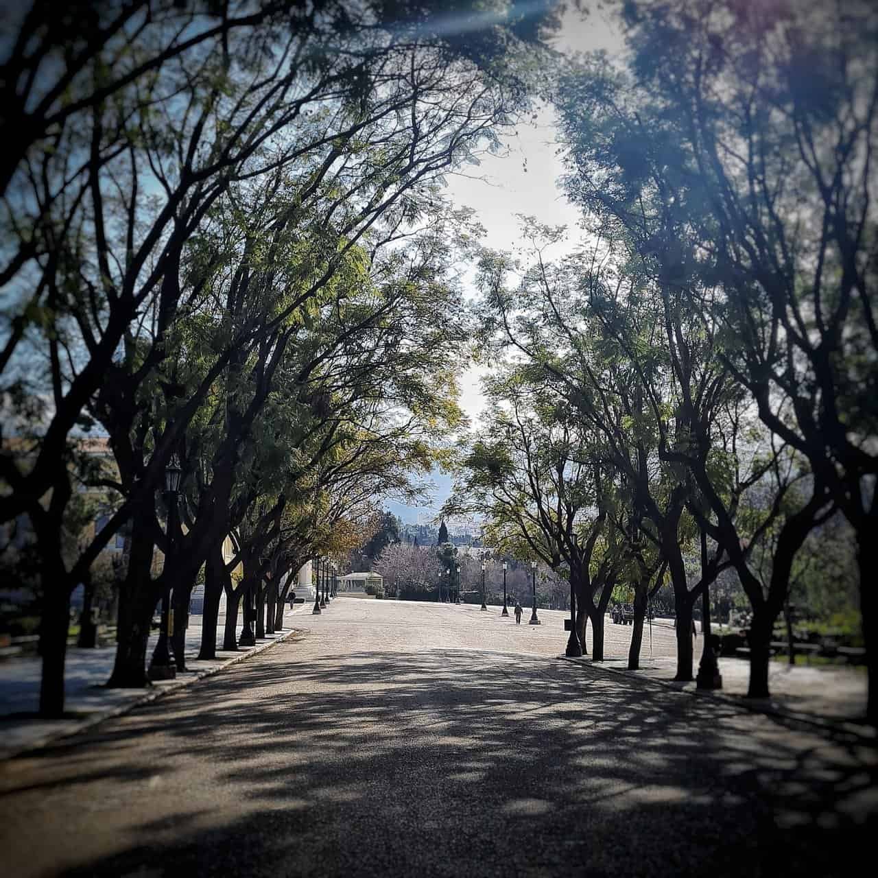 Free walking tour, athens, greece. 30 » 2026 » roaming sparrow 20220214_101211-01.jpeg