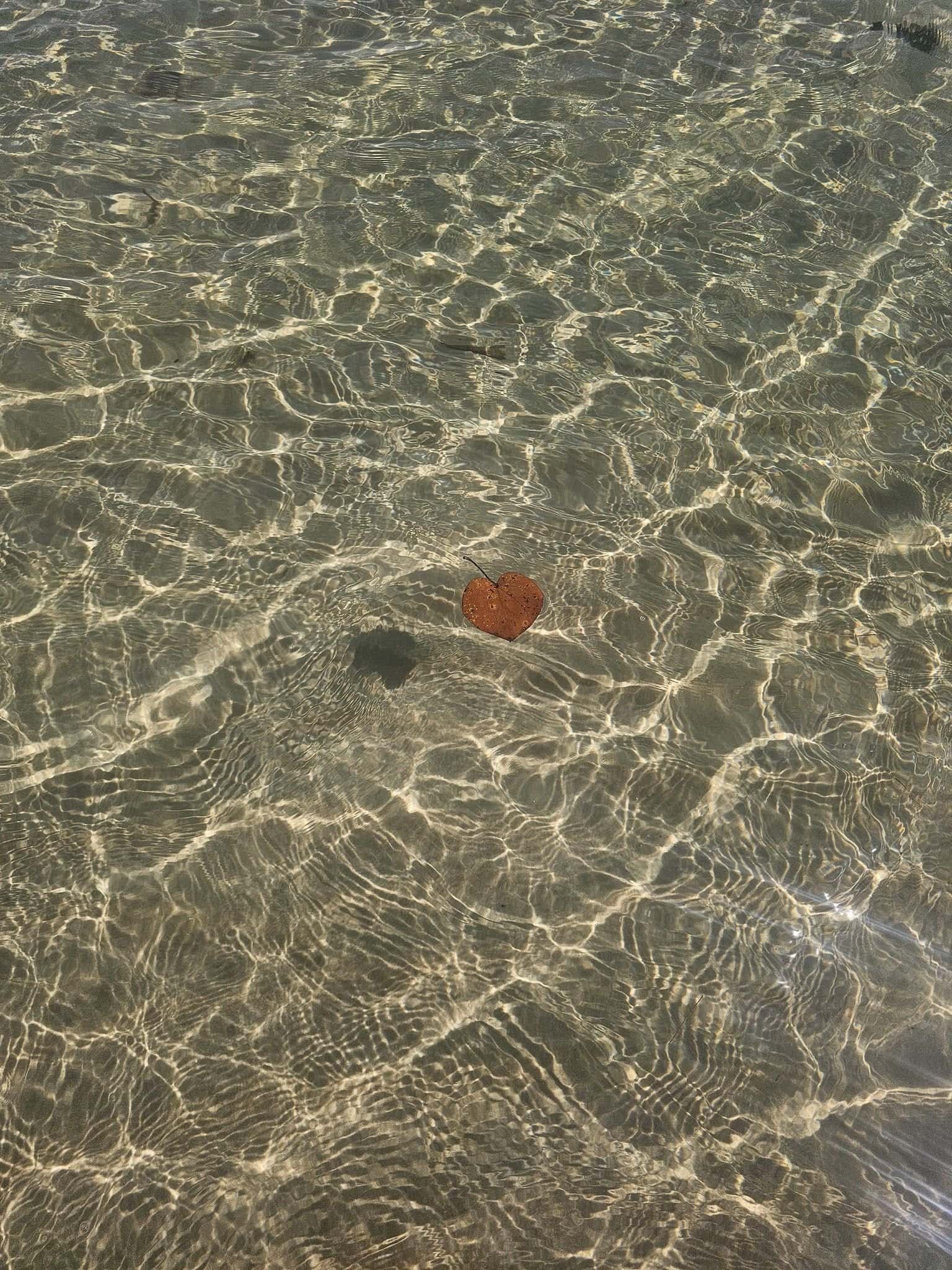 Getting sick on koh rong sanloem: island life unfiltered 21 » 2026 » roaming sparrow Morning light on the calm bay water at Koh Rong Sanloem