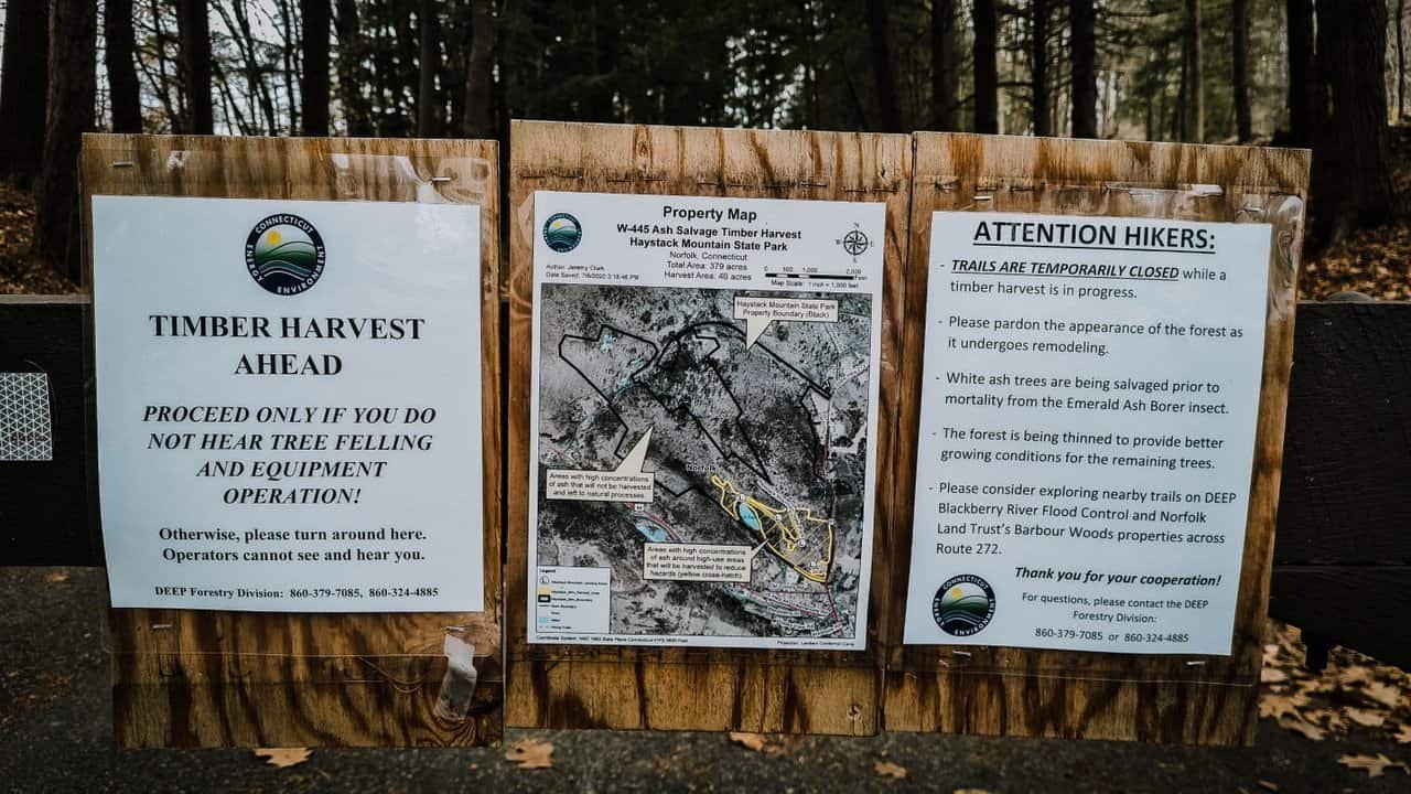 Hiking-2.jpg