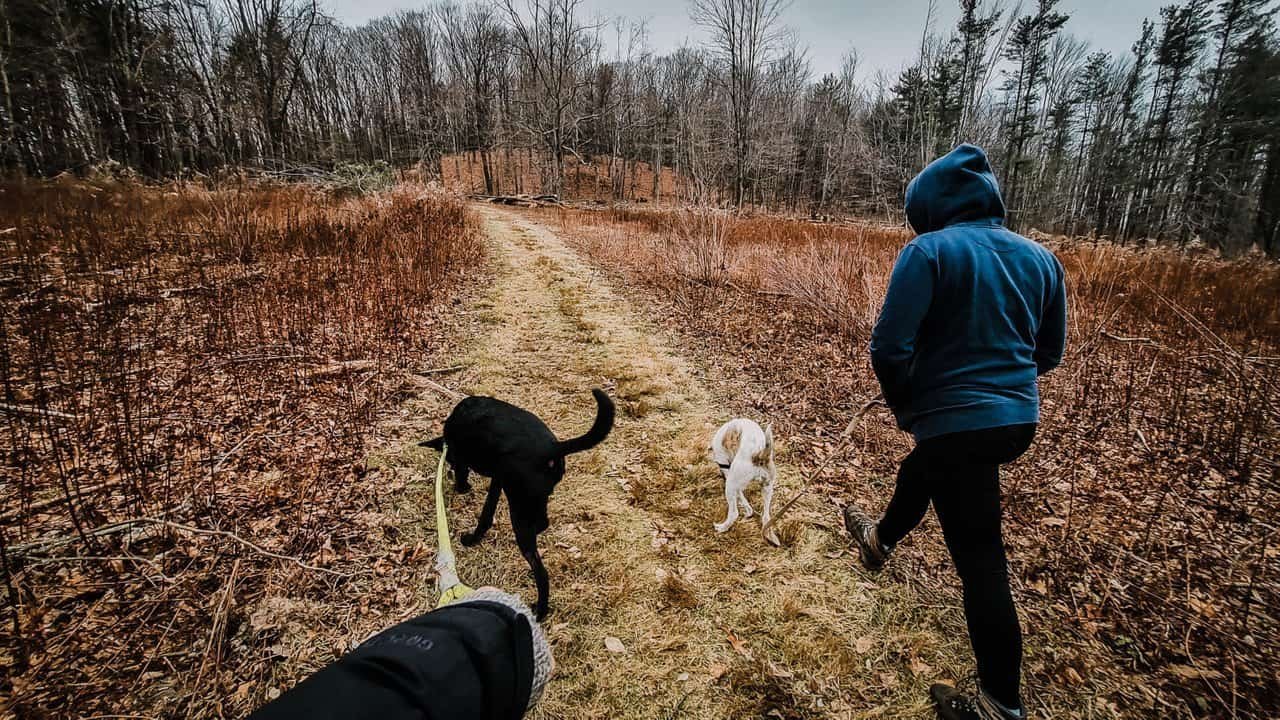 Hiking-8.jpg