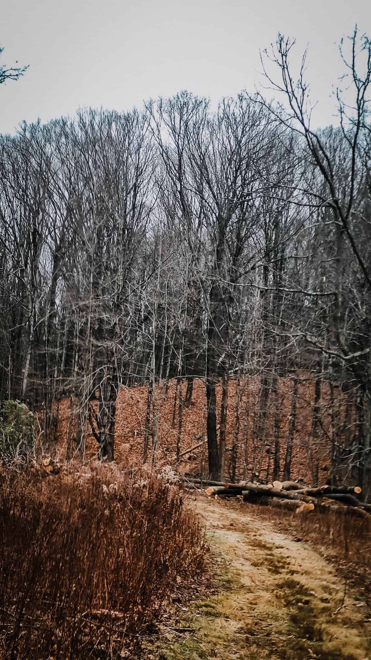 Hiking-7.jpg