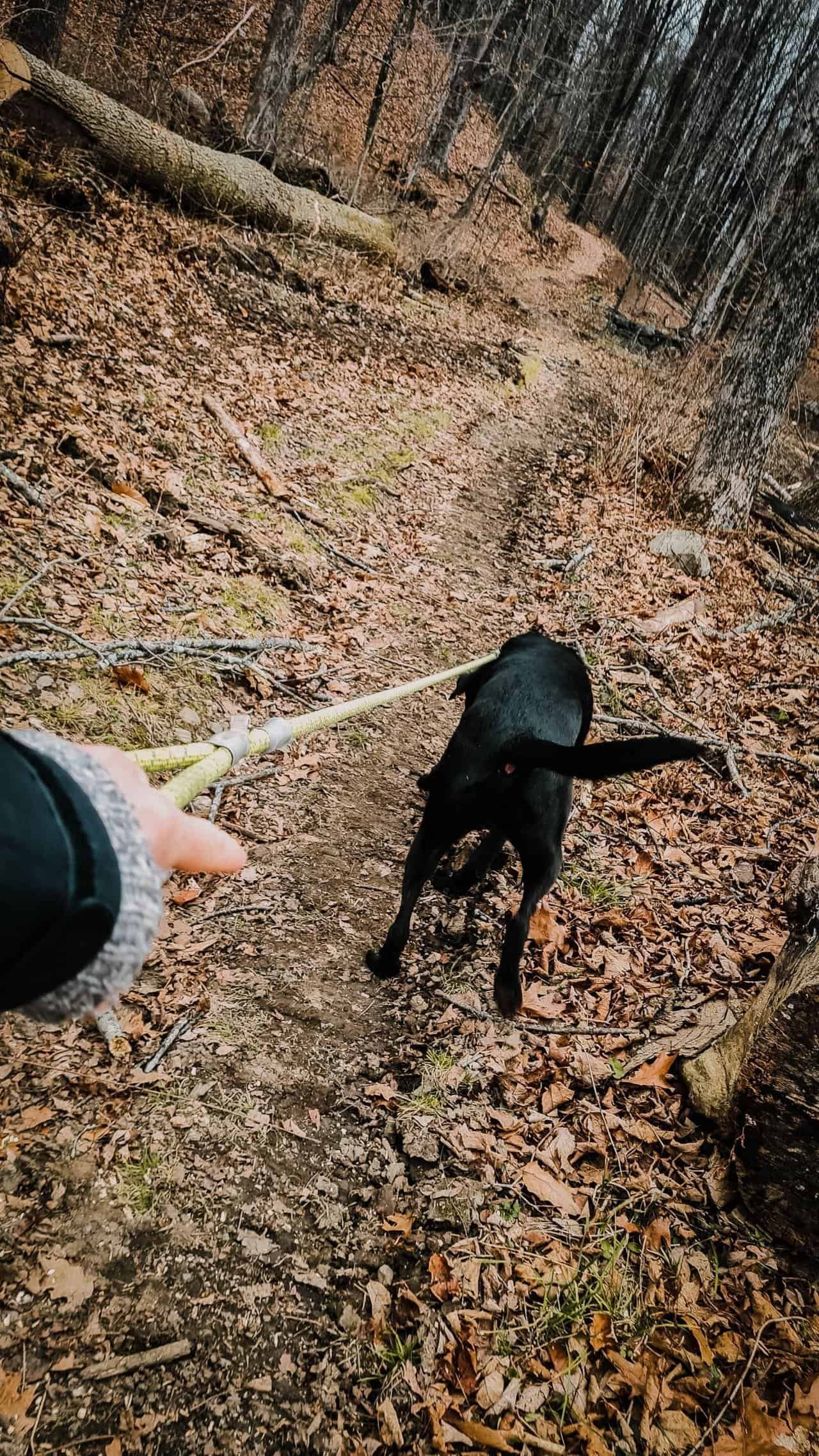 Hiking-10.jpg