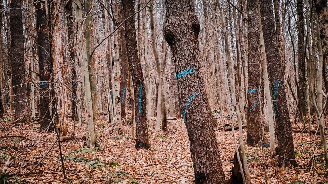 Hiking-12.jpg