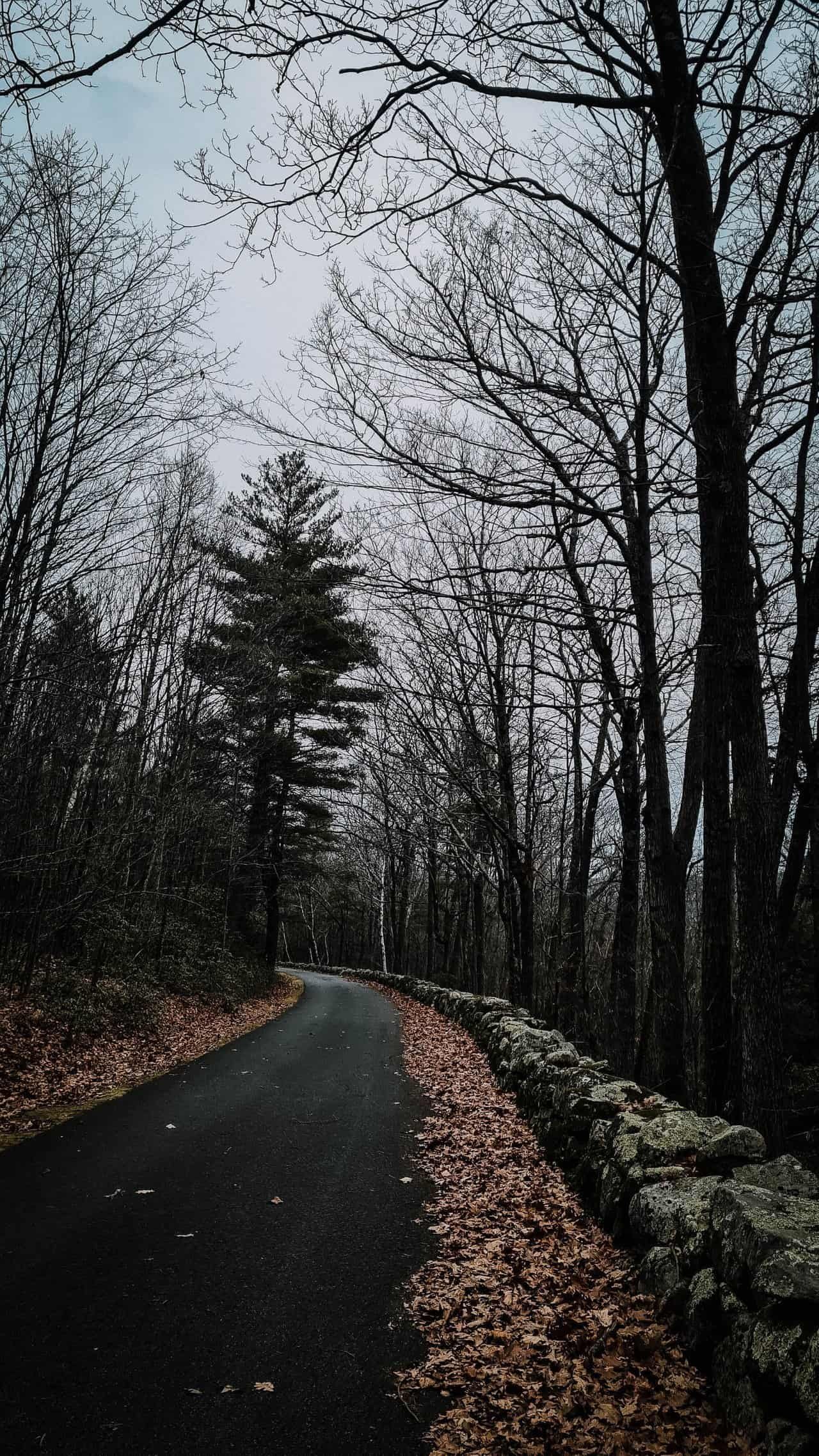 Hiking-28.jpg