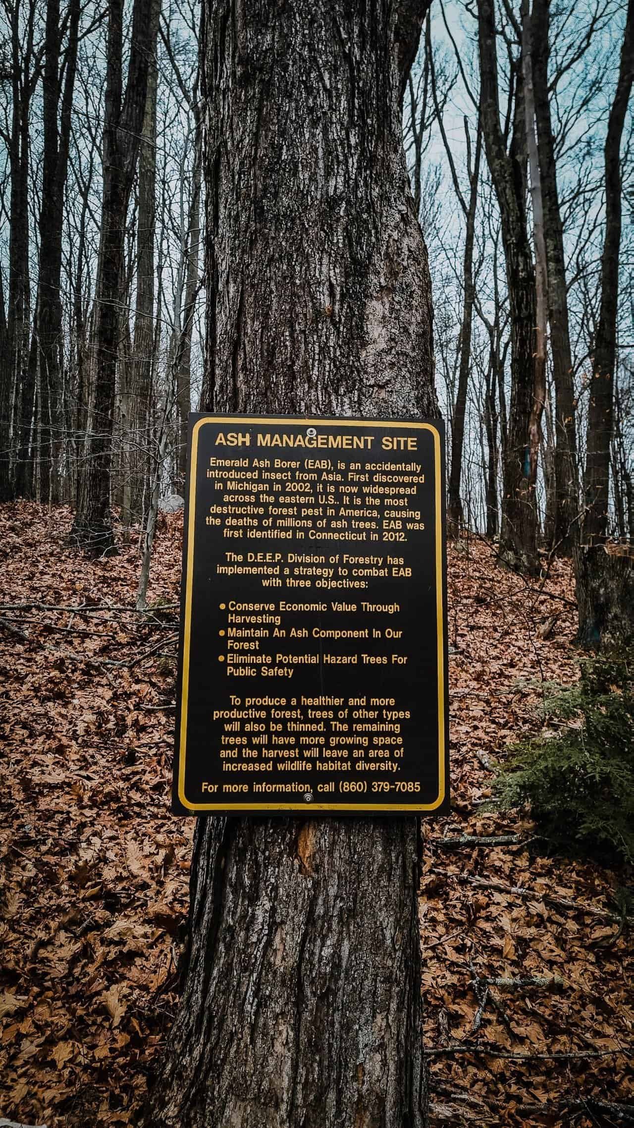 Hiking-31.jpg