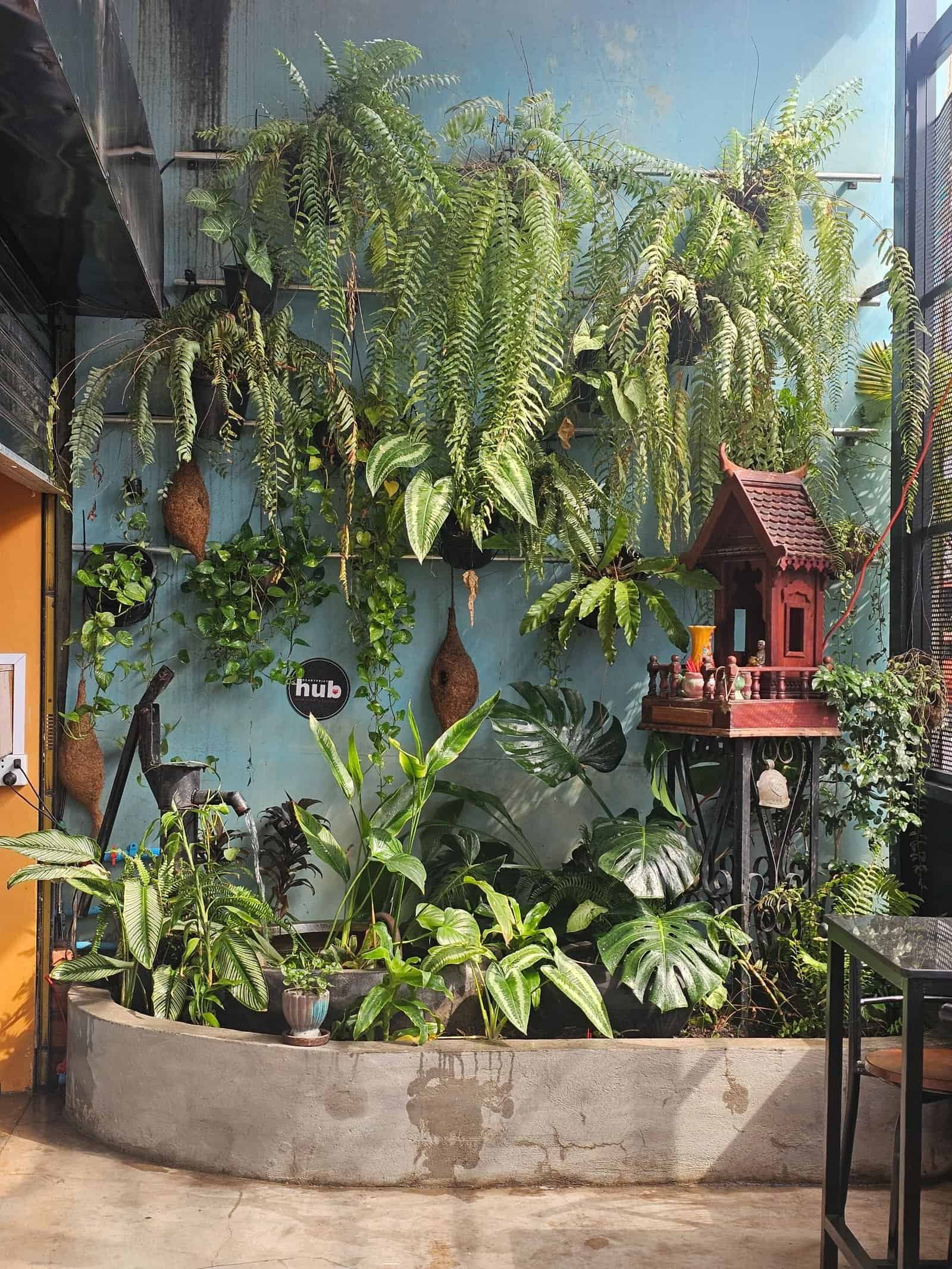 Heartprint Hub Siem Reap nature