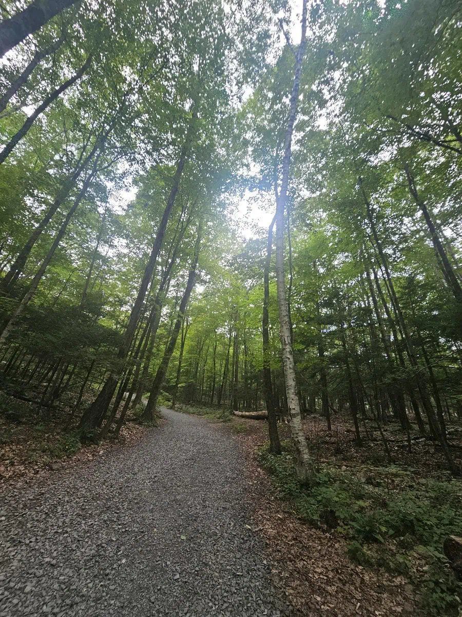 Heublein tower: a connecticut hiking classic 48 » 2026 » roaming sparrow image.png