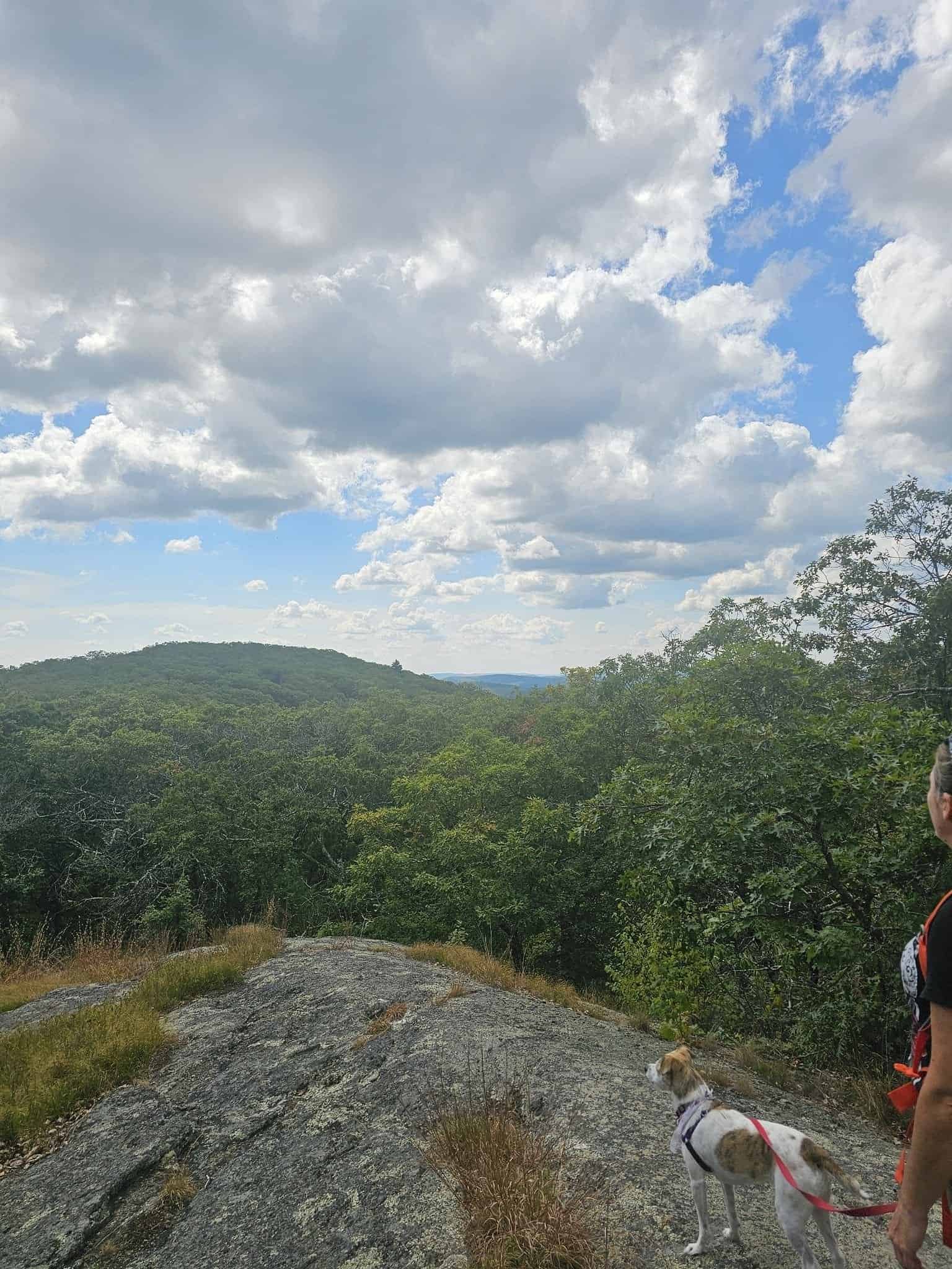 Iron trail, connecticut: a quick heart-pumping east canaan hike 21 » 2026 » roaming sparrow The stone cairn summit marker on the Iron Trail, East Canaan, Connecticut