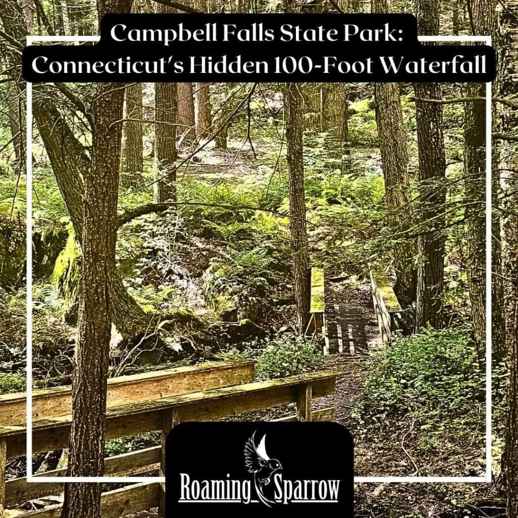 Iron Trail, Connecticut: A Quick Heart-Pumping East Canaan Hike