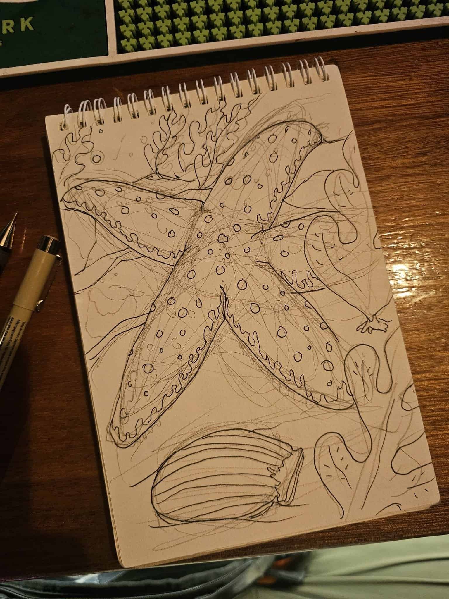 A starfish ink drawing built up from a pencil sketch at the island bar