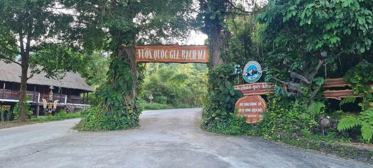 Journey to the magnificent bạch mã mountains in vietnam 17 » 2026 » roaming sparrow 20230610_171213.jpg