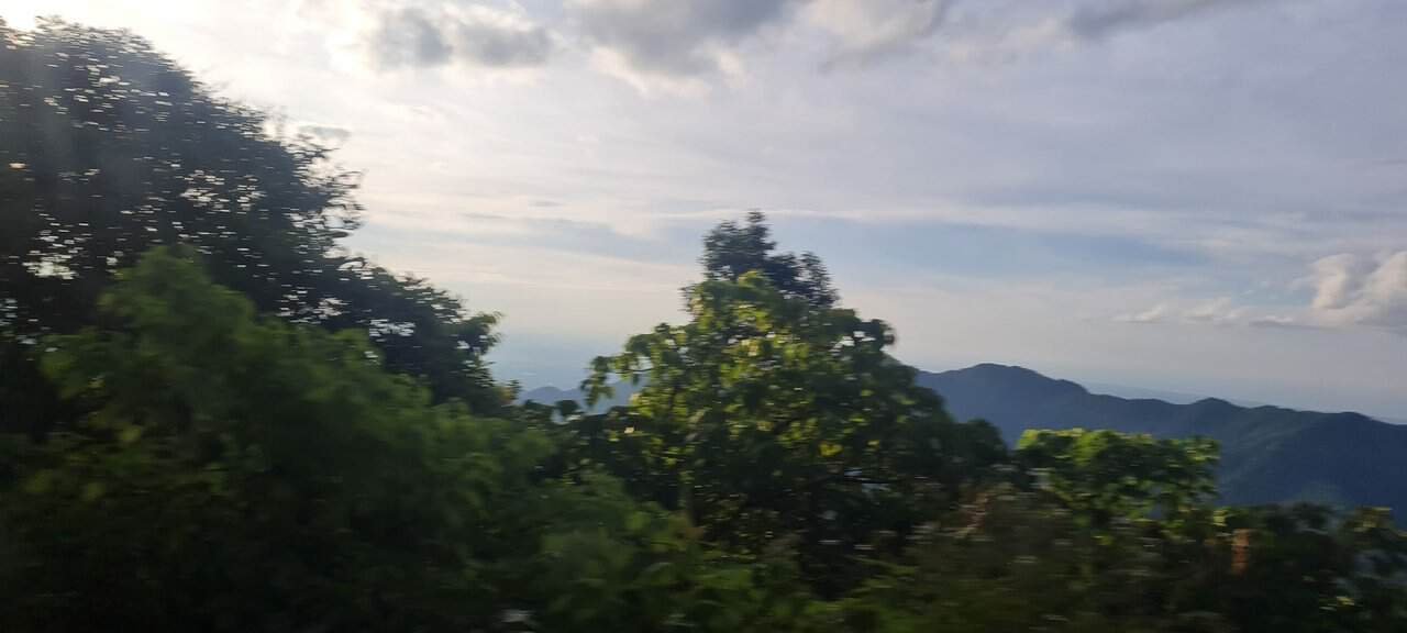Journey to the magnificent bạch mã mountains in vietnam 19 » 2026 » roaming sparrow 20230610_173105.jpg