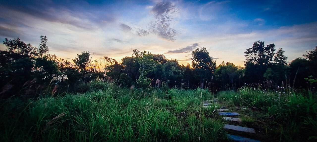 Journey to the magnificent bạch mã mountains in vietnam 23 » 2026 » roaming sparrow 20230611_052347.jpg