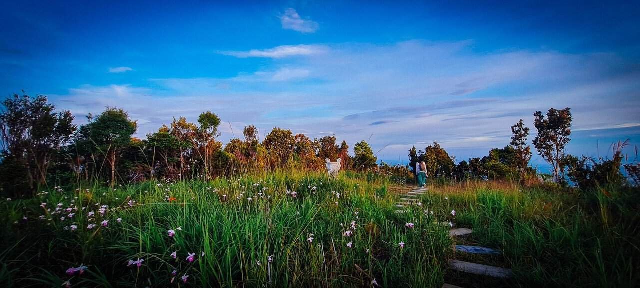 Journey to the magnificent bạch mã mountains in vietnam 24 » 2026 » roaming sparrow 20230611_052350.jpg