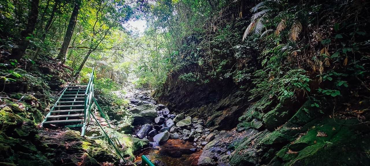Journey to the magnificent bạch mã mountains in vietnam 30 » 2026 » roaming sparrow 20230611_105235.jpg