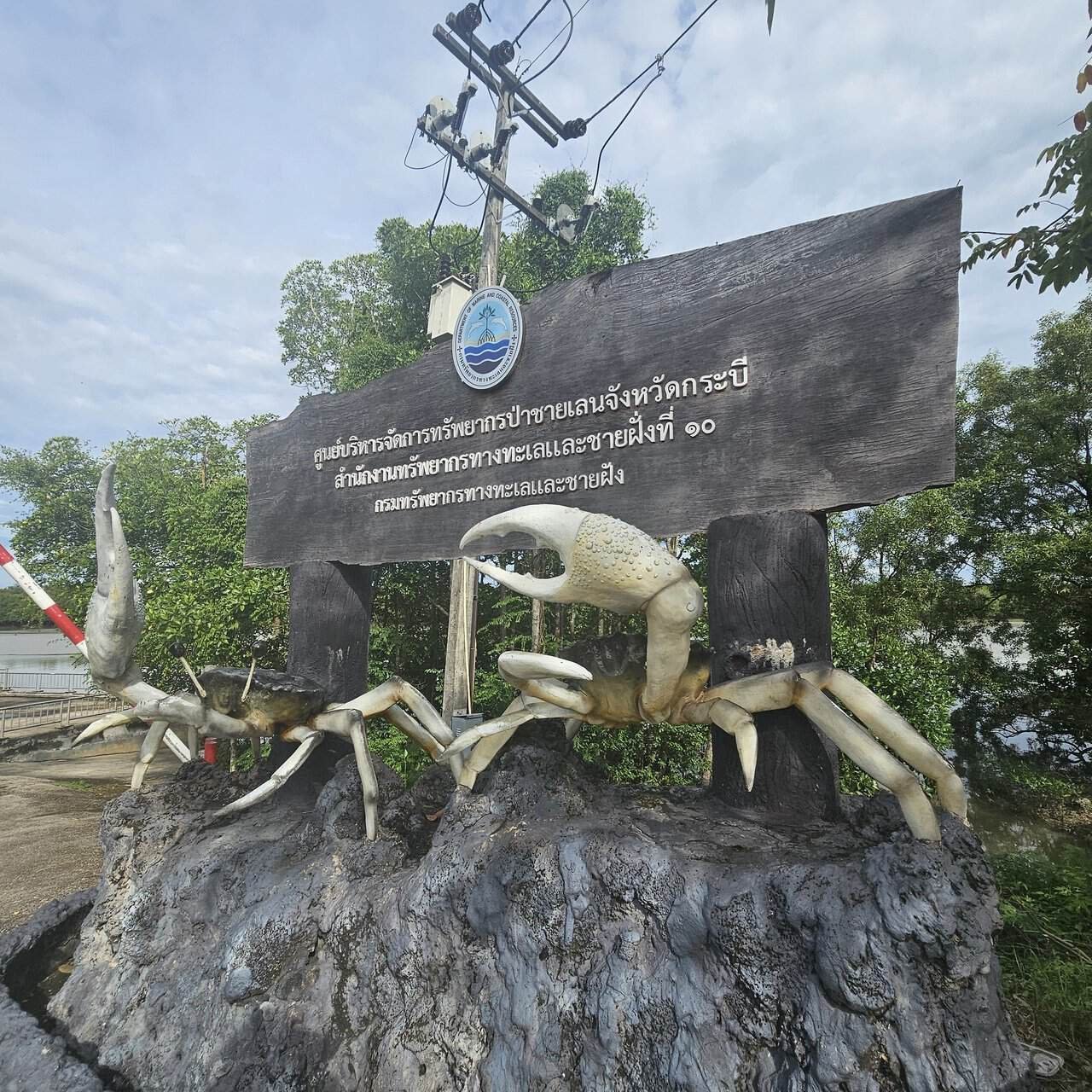 Krabi urban forest, discovering krabi's hidden gem 32 » 2026 » roaming sparrow image.png