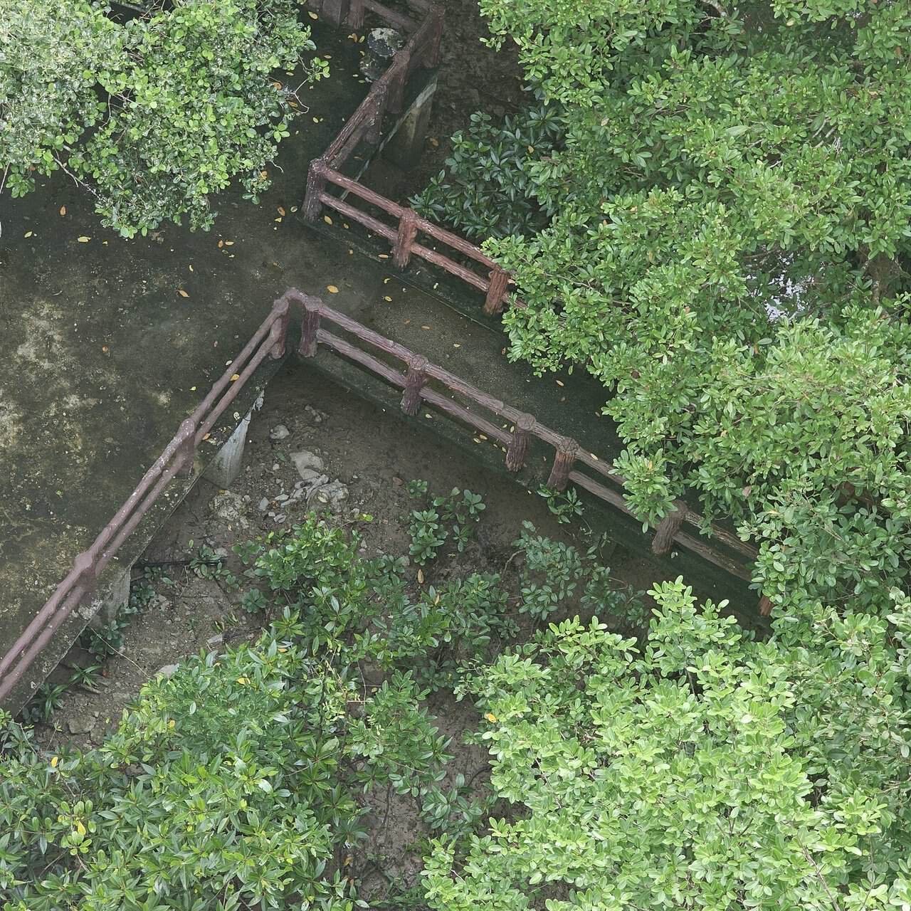 Krabi urban forest, discovering krabi's hidden gem 38 » 2026 » roaming sparrow image.png