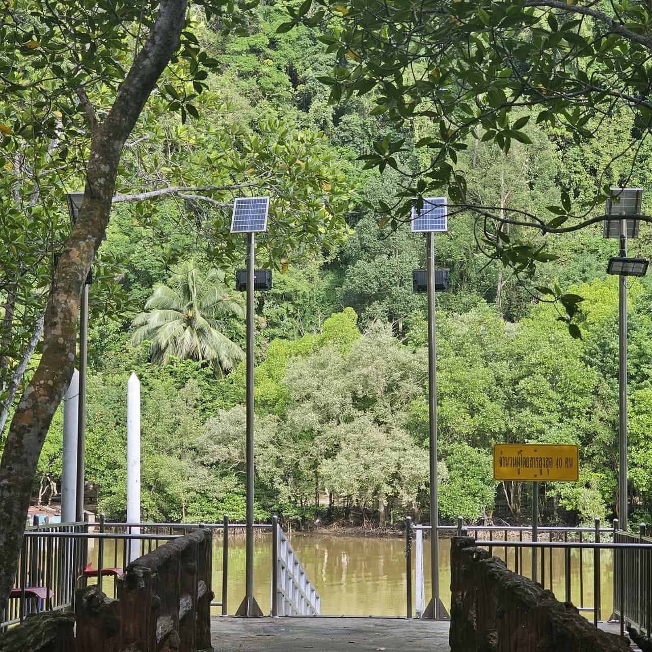 Krabi urban forest, discovering krabi's hidden gem 40 » 2026 » roaming sparrow image.png