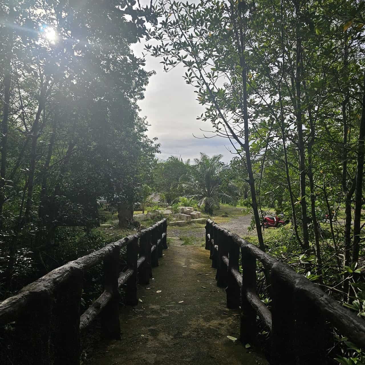 Krabi urban forest, discovering krabi's hidden gem 41 » 2026 » roaming sparrow image.png