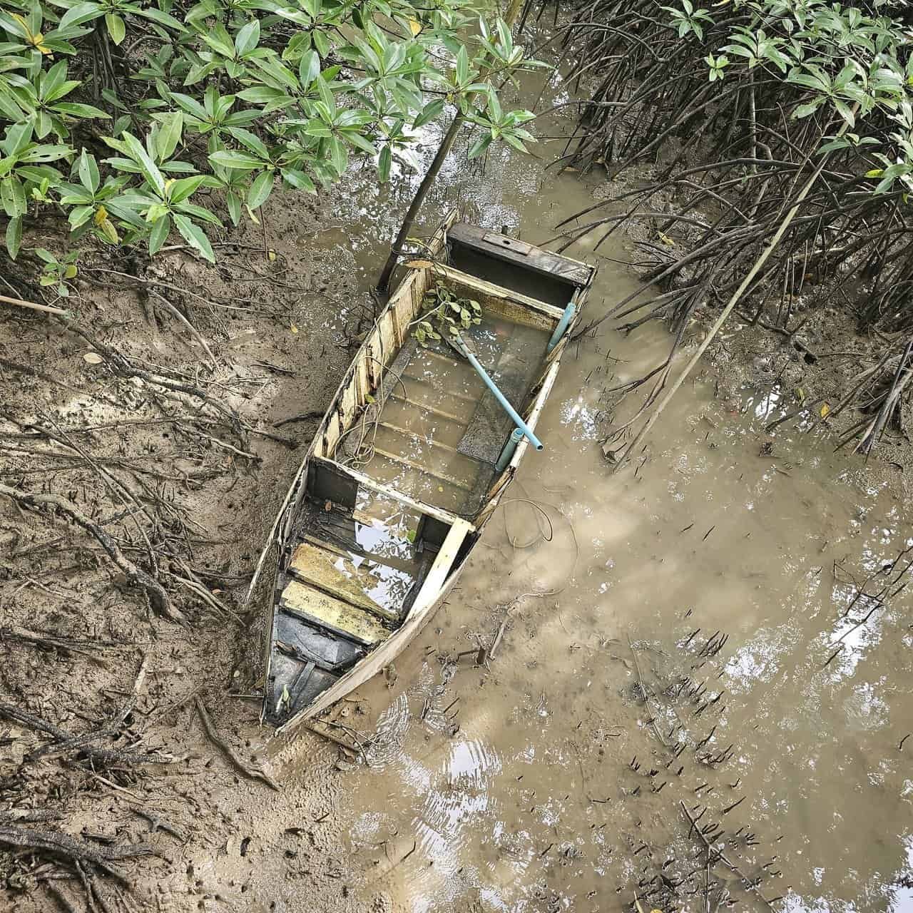 Krabi urban forest, discovering krabi's hidden gem 43 » 2026 » roaming sparrow image.png
