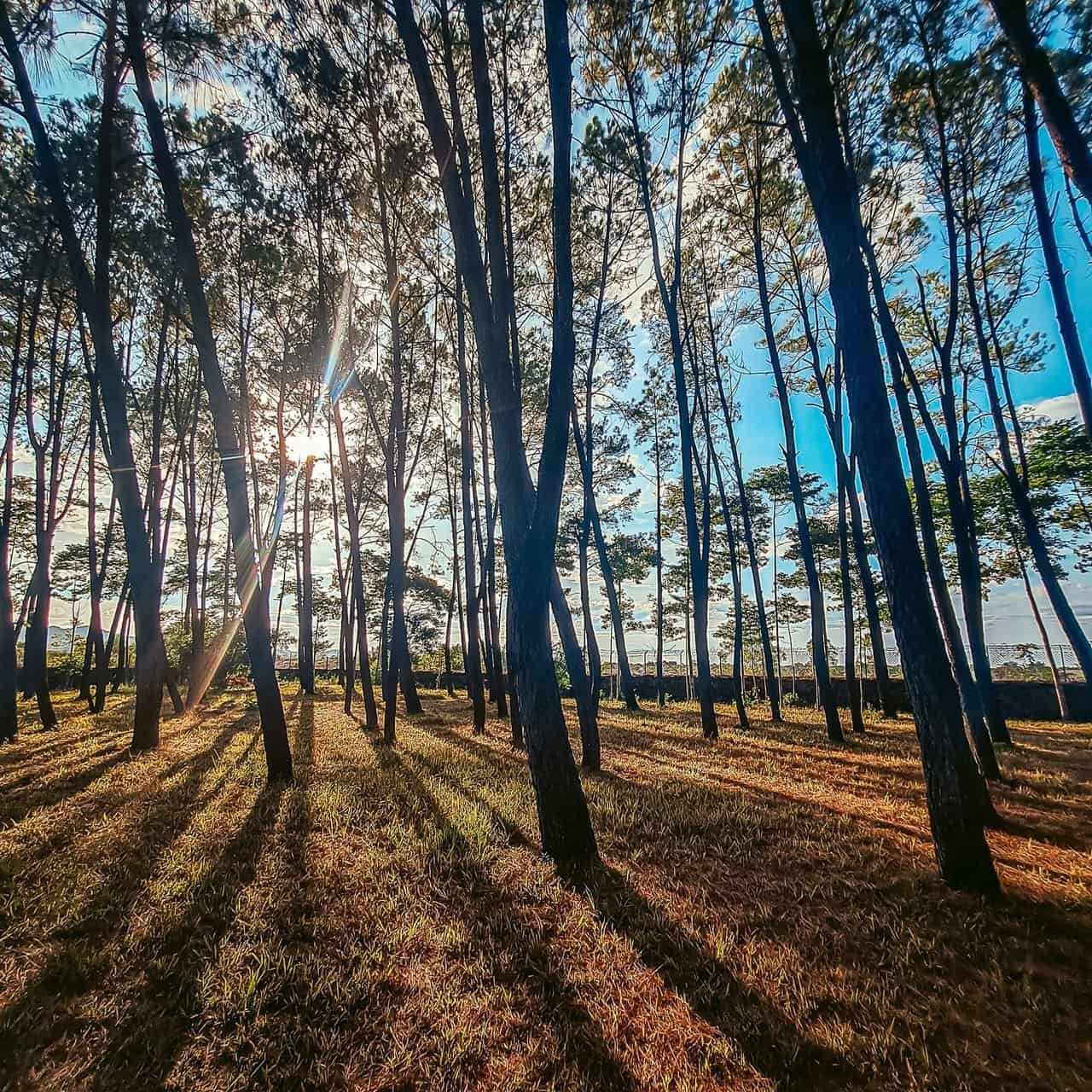 20230730_165300.jpg