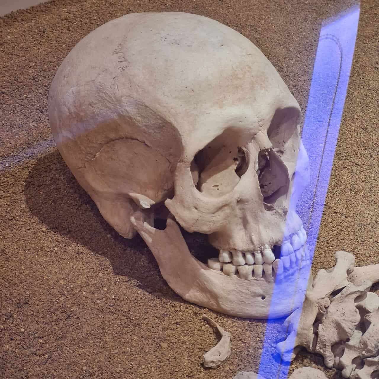 20220222_144347.jpg