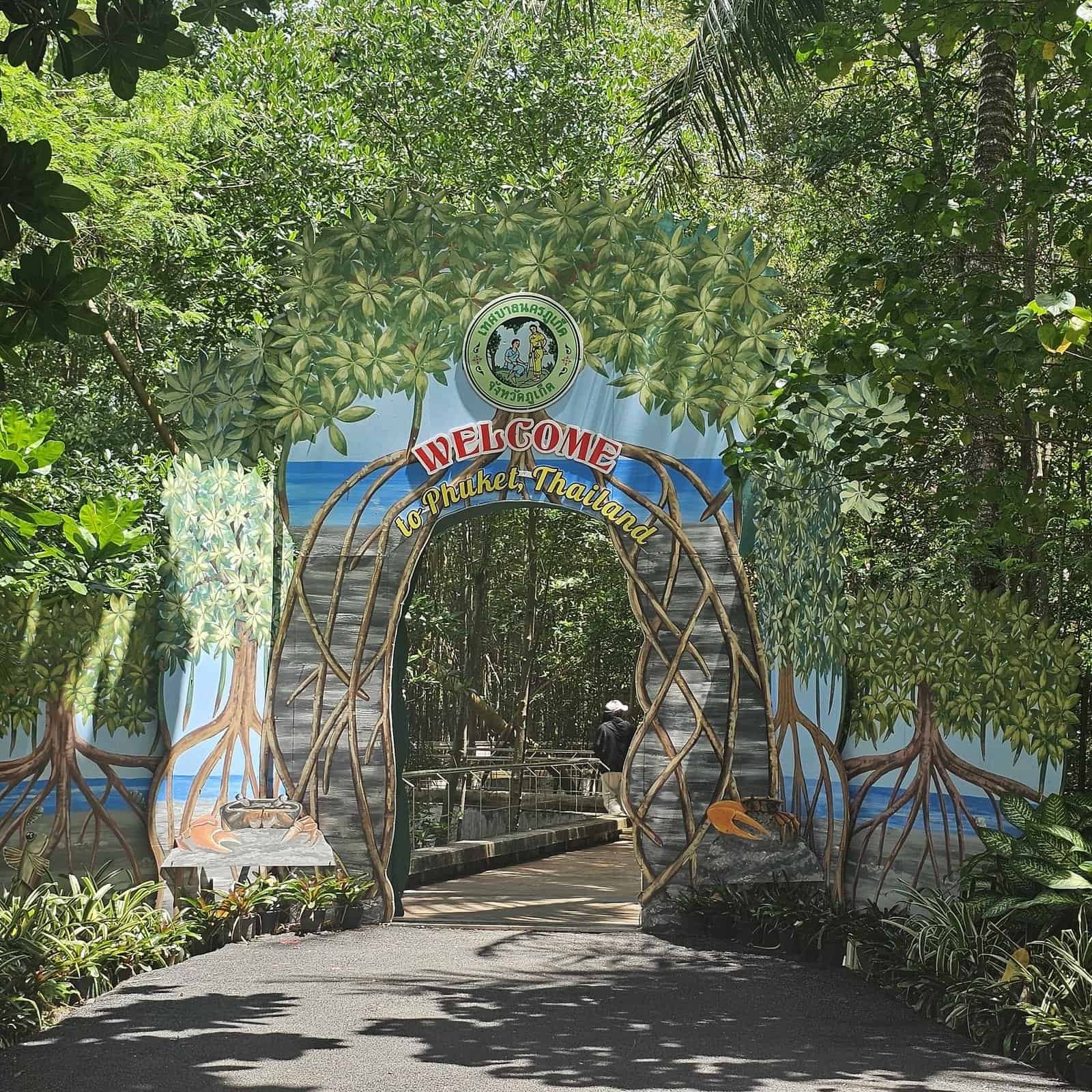 Phuket beaches and slow days: sunsets, coral, and quiet walks 21 » 2026 » roaming sparrow A quiet green mangrove park path away from the tourist crowds in Phuket