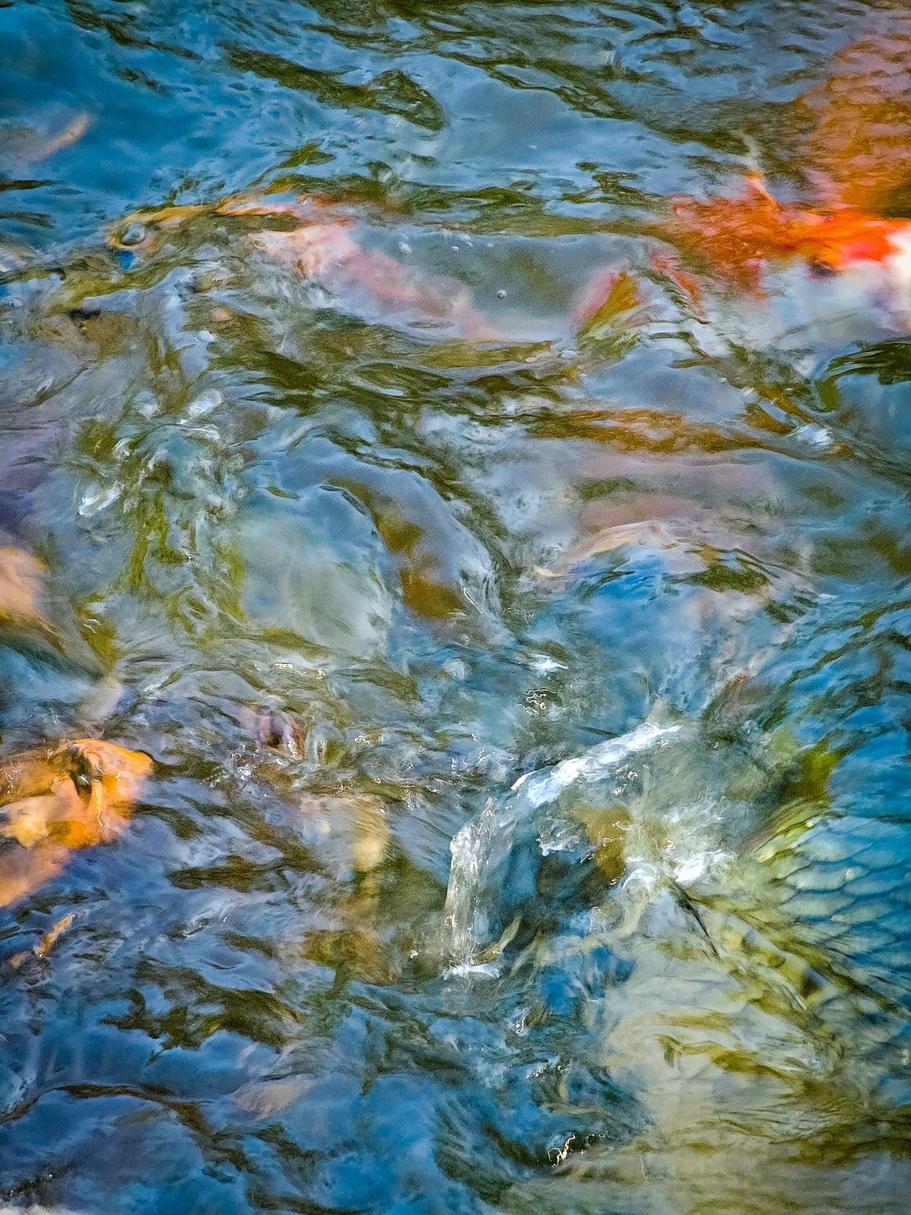 20240323_151534.jpg